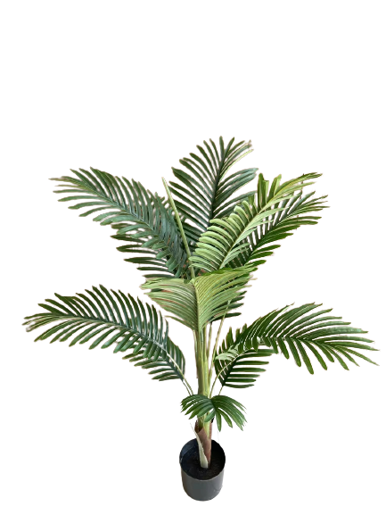 small decorative palm trees