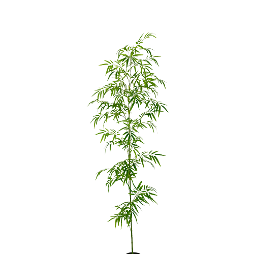 artificial bamboo trees wholesale