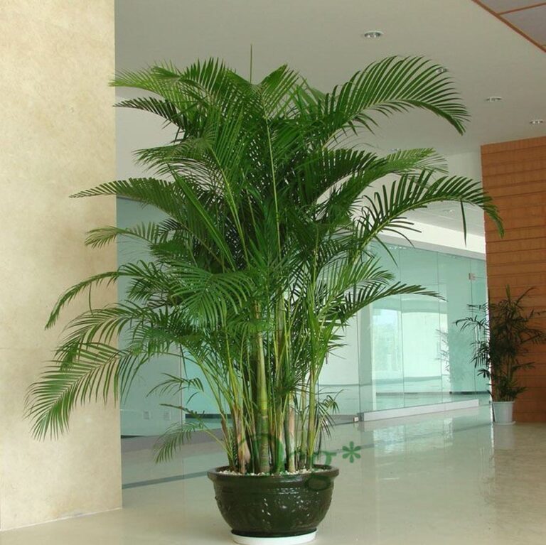 15 ft artificial palm tree outdoor