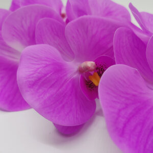artificial orchid flowers