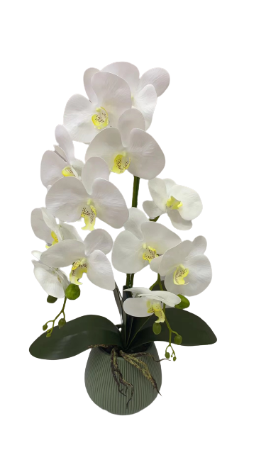 artificial orchid arrangements