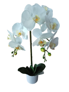 artificial orchid arrangements