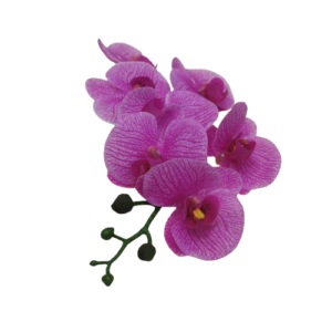 faux orchids