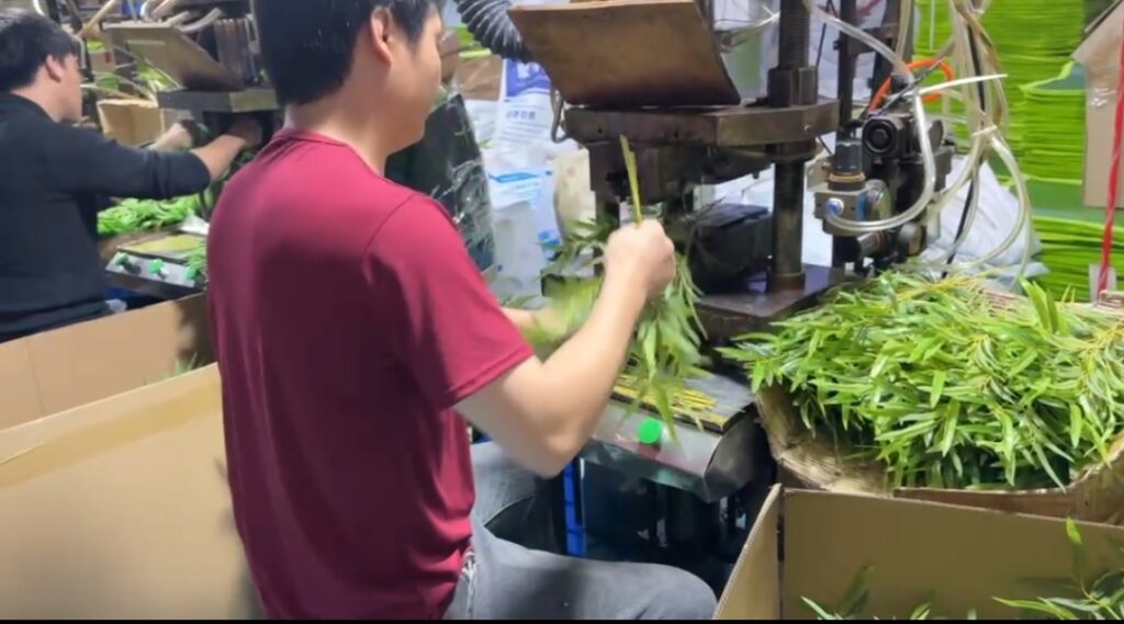 artificial bamboo