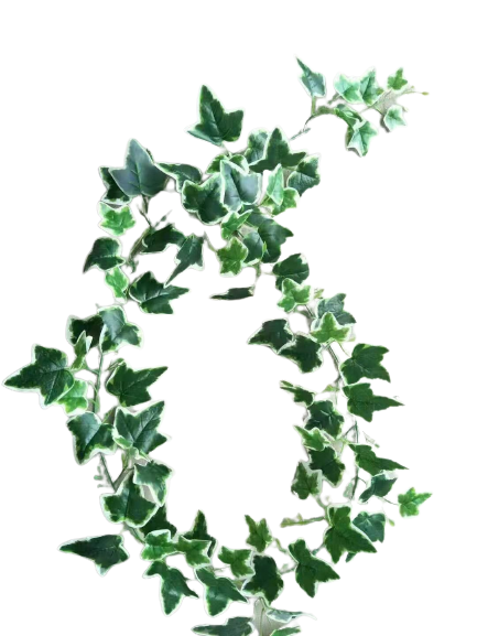 ivy wall decor
