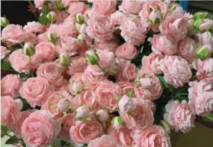 artificial peony flower wholesale