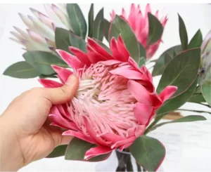 artificial protea