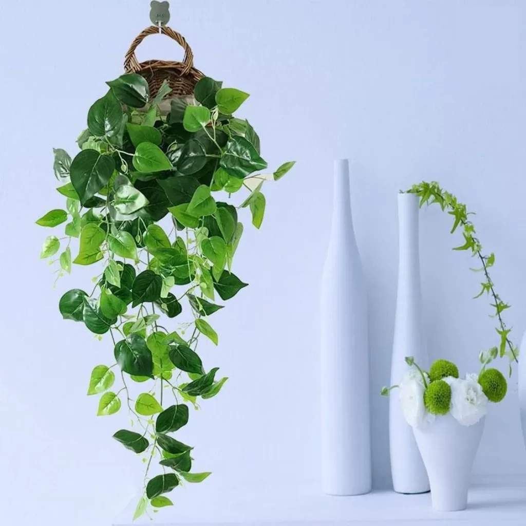 hanging plant decor