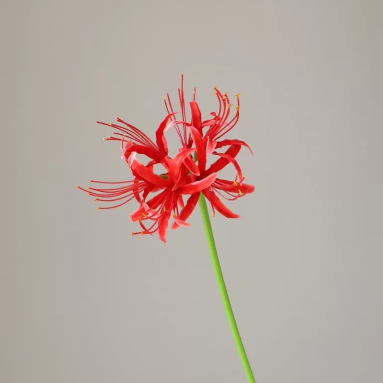artificial red spider lily