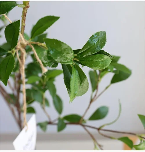 artificial branches with leaves