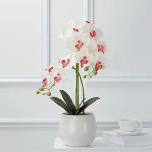 fack orchid in pot