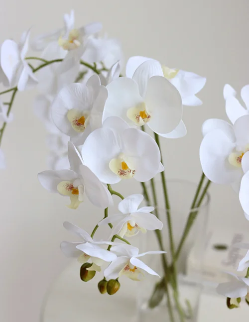 artificial orchid