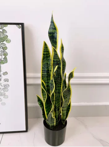 artificial Snake Plant