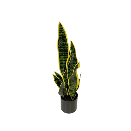 artificial snake plant