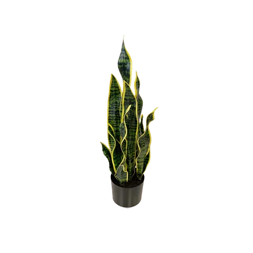 artificial snake plant