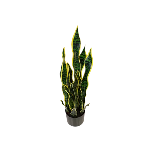 best faux snake plant