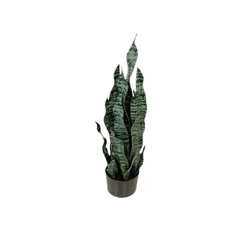 sansevieria artificial