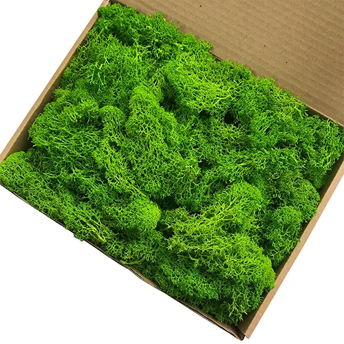 artificial moss