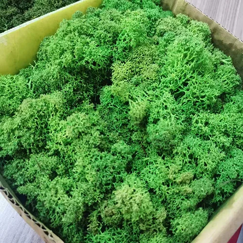 Fake Moss For Crafts