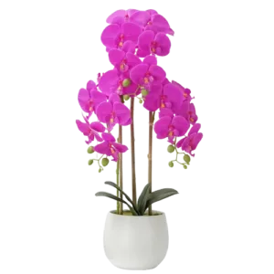 artificial orchid in pot