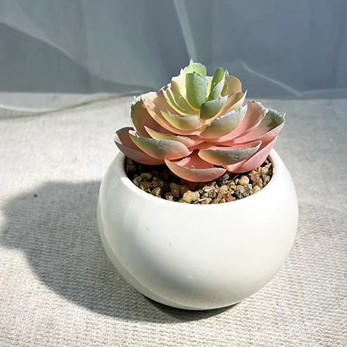 small artificial succulents in pots