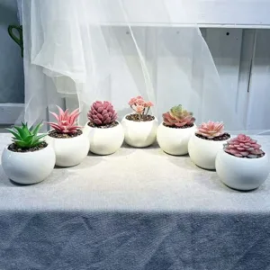 Artificial Succulents in Pots