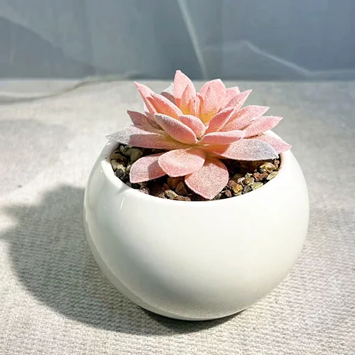 Artificial Succulents in Pots