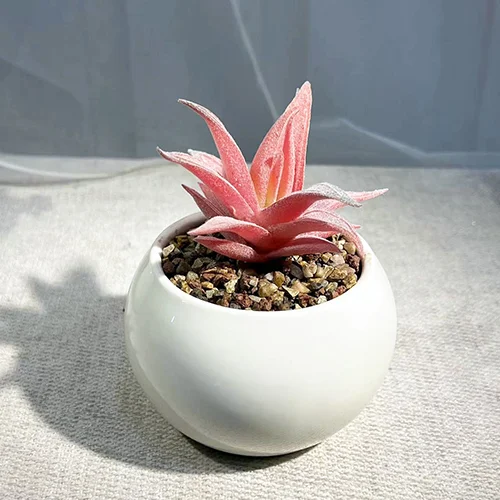 Small Artificial Succulents in Pots