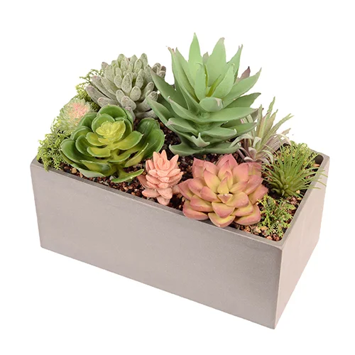 Large Artificial Succulents in Pots