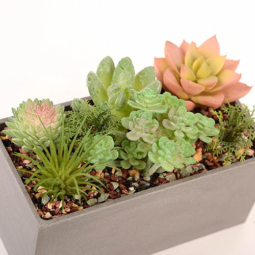 Large Artificial Succulents in Pots