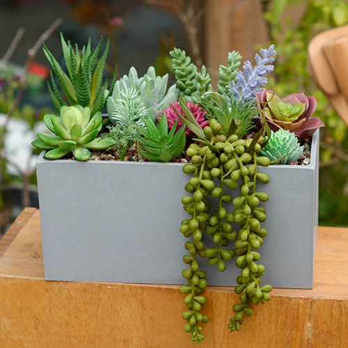 large Artificial Succulents in Pots