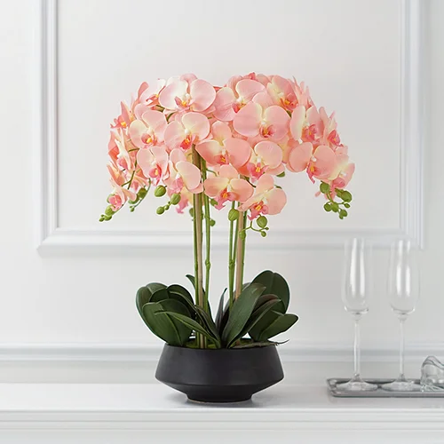 orchid centerpieces for dining table