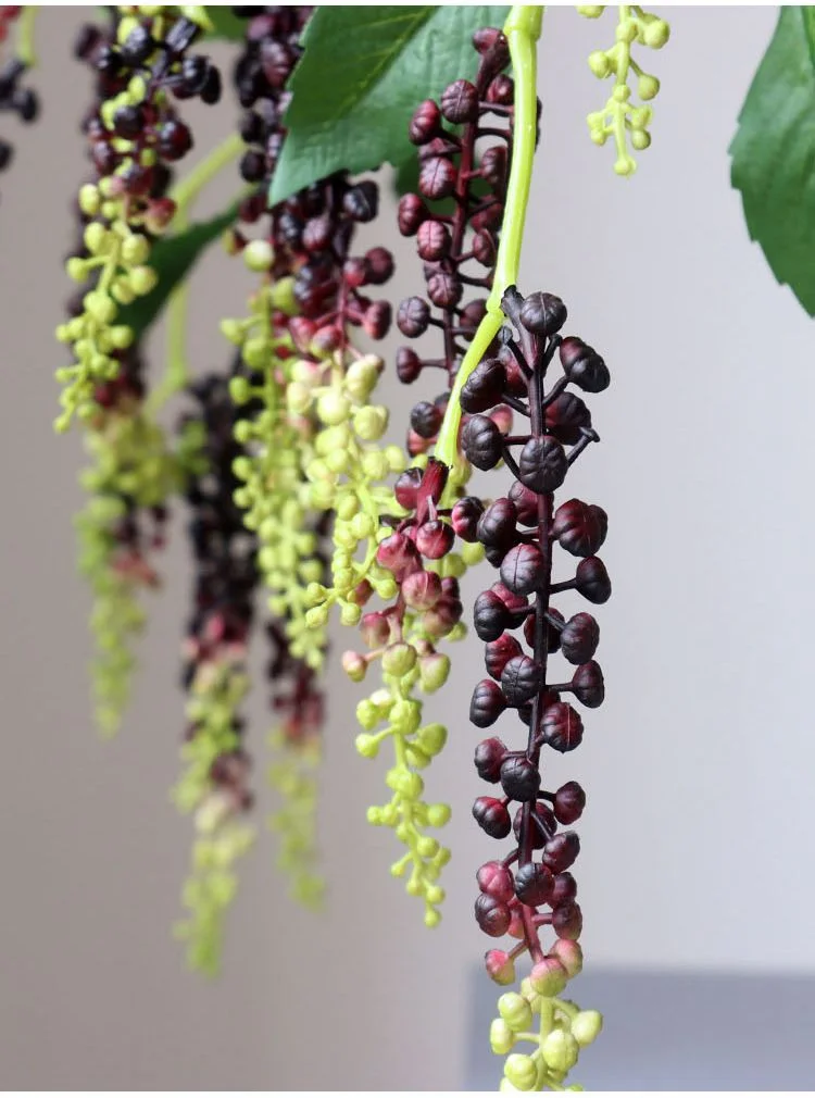 pokeberry