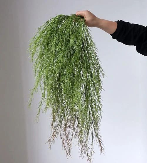 fake hanging plants that look real