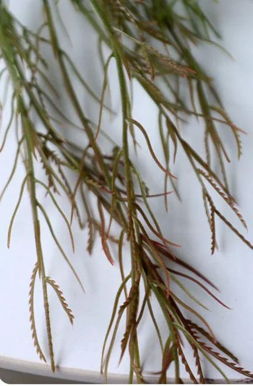 Fake Hanging Plants That Look Real