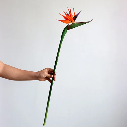 artificial birds of paradise flowers