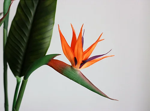 artificial birds of paradise flowers