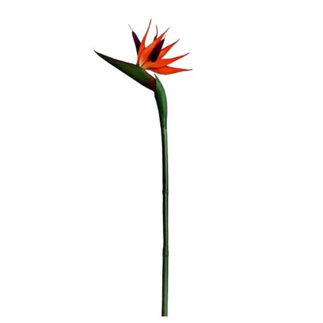 Artificial Birds of Paradise Flowers